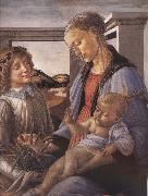 Sandro Botticelli Our Lady of the Son and the Angels oil painting artist